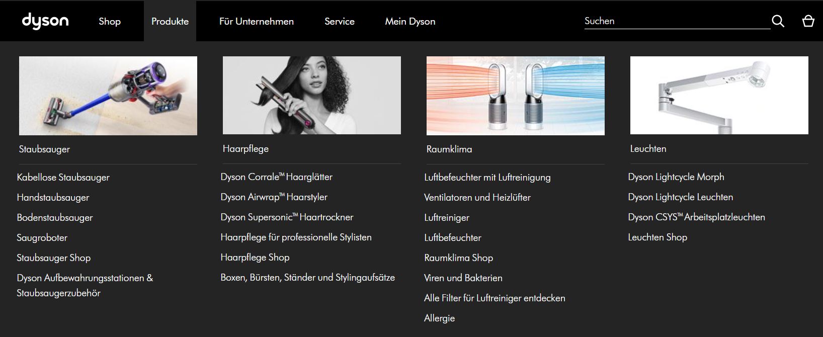 Produkte, für die der Dyson Gutschein eingelöst werden kann